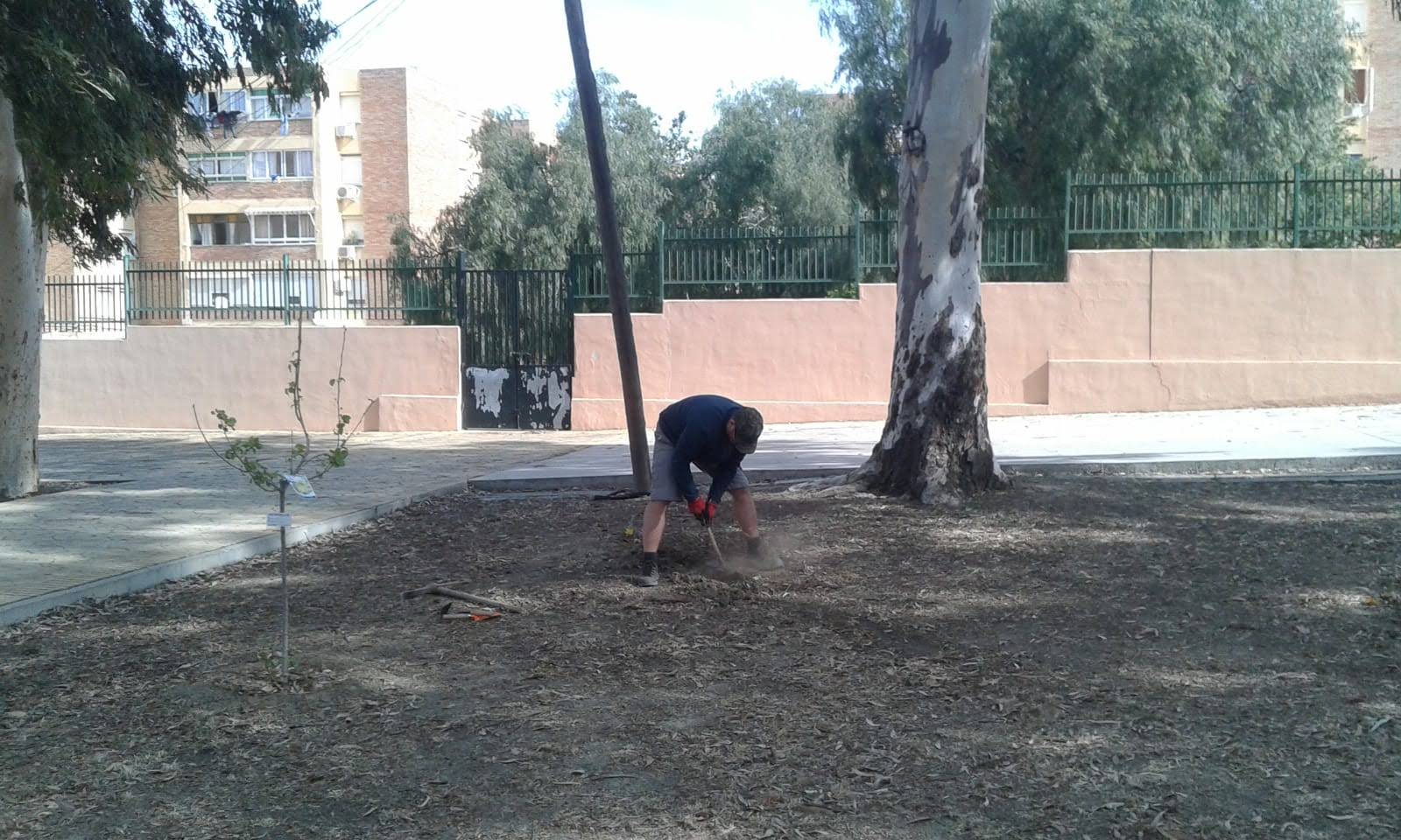 2019 05 Riego por goteo3