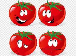 Tomates cherry