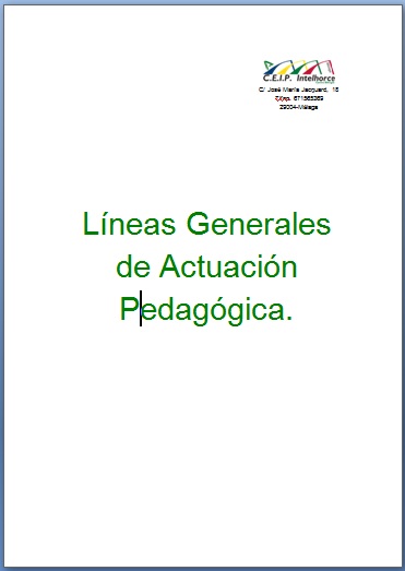 13 Líneas Generales de Actuación Pedagógica