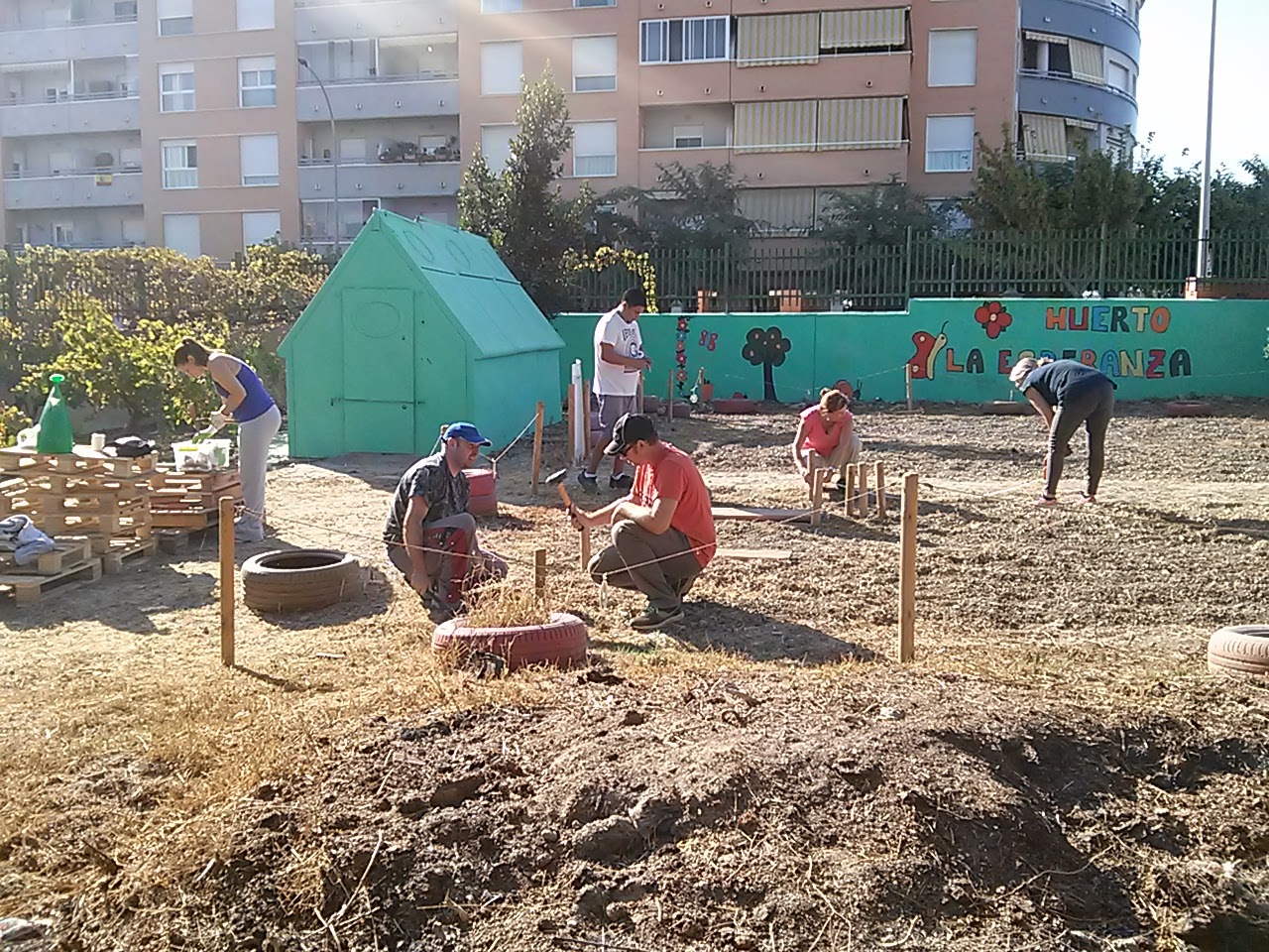 2017 10 oct10 Huerto2