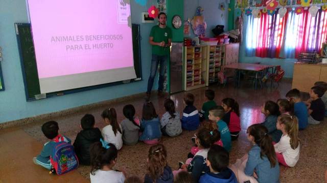 2018 05 Taller de insectos3