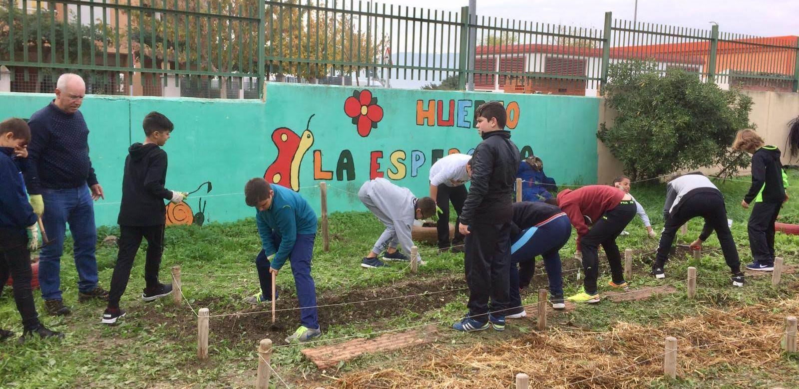 2018 11 12nov Plantación 20185