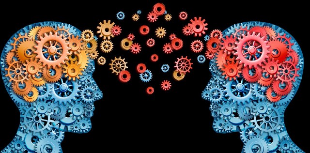 Entrena tus neuronas